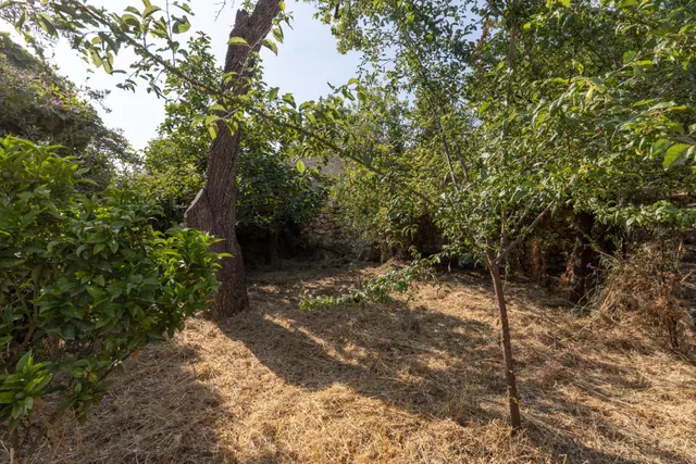 CASA PARA REFORMAR, MÁS TERRENO DE 250M2 — 44