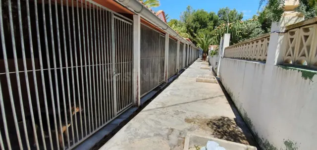 Parcela 1000m² en venta - Carretera de La Nucia - foto 5