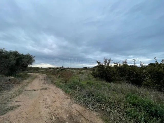 EN VENTA – SUELO RÚSTICO EN CAMBRILS (TARRAGONA)