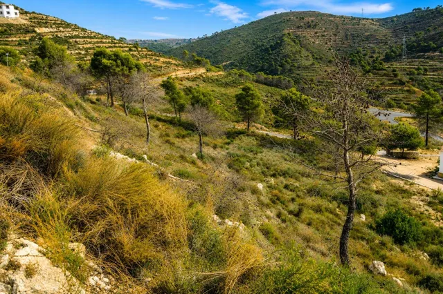 ¡PARCELA URBANA EN LA EMPEDROLA (ALICANTE)!