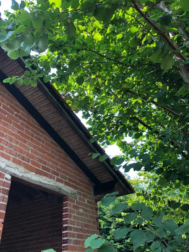 CABAÑA INDEPENDIENTE CON TERRENO EN RUENTE — 6