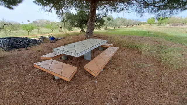 Finca rústica en venta en Constanti - foto 4