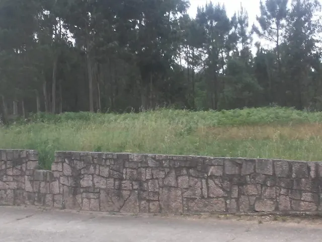 Vendo Terreno para Huerto, Finca de Recreo cerca de Tomiño - foto 2