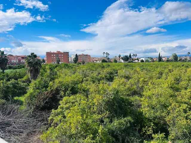 Terreno urbano en la Huerta de Aljucer - Excelente ubicación junto a Avda. del Palmar — 5