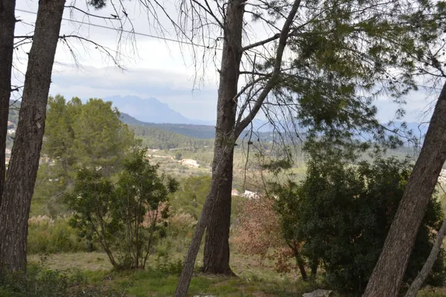 PARCELA EN VENTA EN EL MEJOR SITIO DE CORBERA DE LLOBREGAT (BARCELONA) — 29