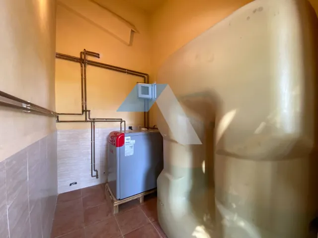 Chalet independiente con piscina en gran parcela rústica, rodeado de pinos y olivos – A menos de 1 km del Polideportivo Municipal de San Vicente del Raspeig — 50