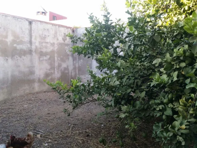 PARCELA URBANA ZONA MAYORZGO — 2
