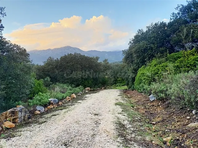 Casa-Chalet en Venta en Benalauria Málaga — 42