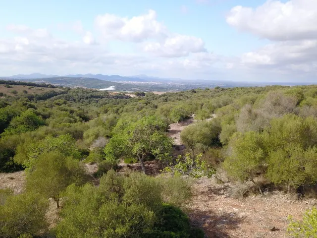 Solar residencial en Venta en Manacor Baleares - foto 4