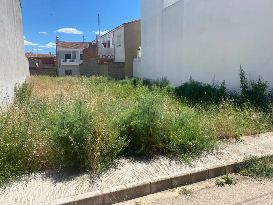 ¿Quieres un terreno URBANO para empezar de cero? Este es el tuyo
