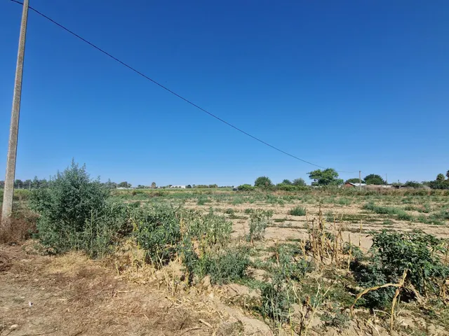Finca rústica con dos viviendas, piscina y 56.000 m2 de tierras de regadío a 10 minutos de Jerez — 17