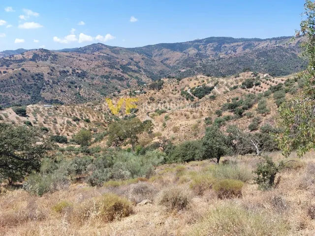 ¡Naturaleza, espacio y posibilidades a solo 7 minutos de Colmenar! — 6