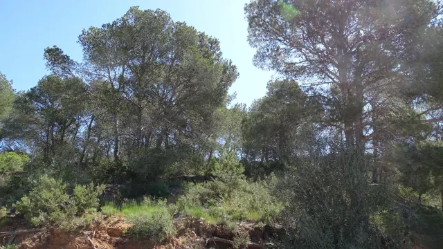 Terreno en venta en Vilamarxant — 6