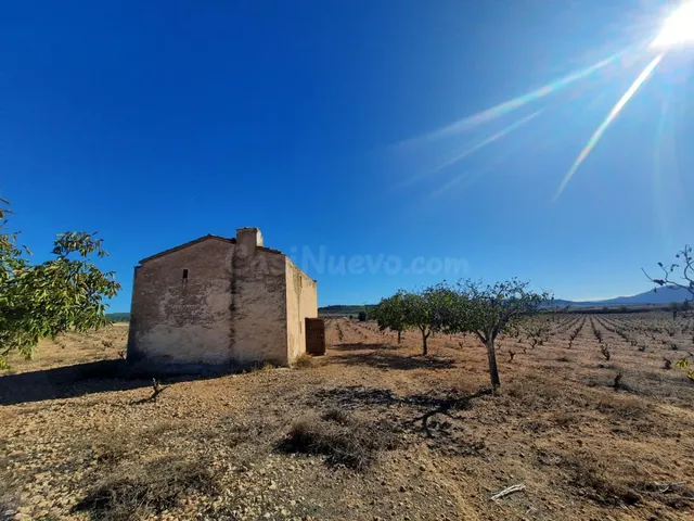 FINCA RÚSTICA EN ALMANSA — 4