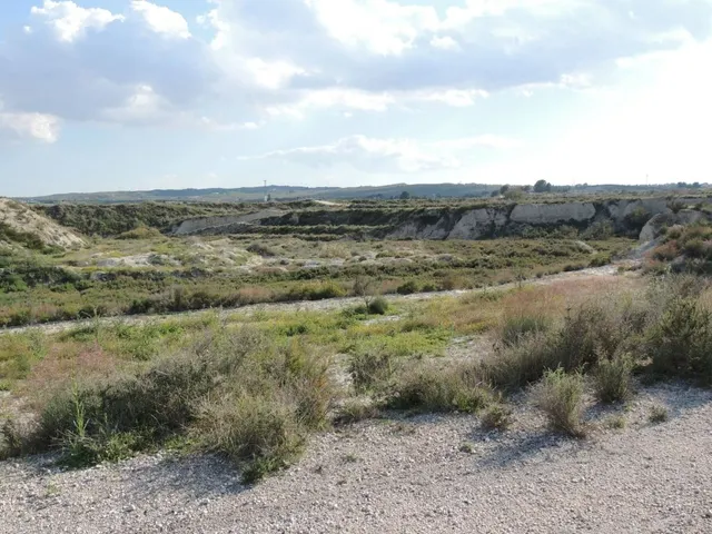 ++Terreno no urbano en carretera de molina de segura a fortuna, primera linea de carretera++ — 5