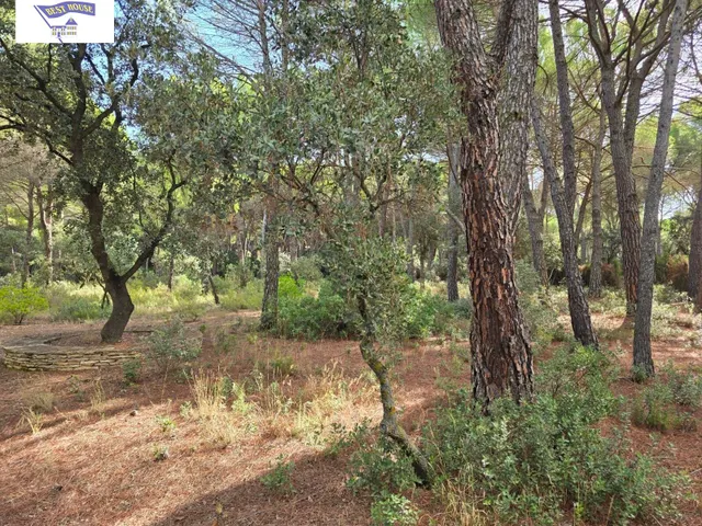 Terreno Urbano en Pinares del Júcar, Albacete — 10