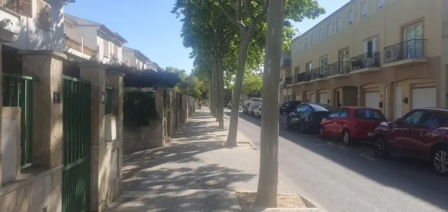 LOCAL SECAR DE LA REAL — 6