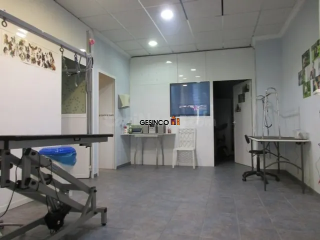LOCAL COMERCIAL EQUIPADO PARA PELUQUERÍA CANINA — 5