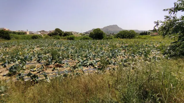Parcela en venta - Calasparra centro - foto 2