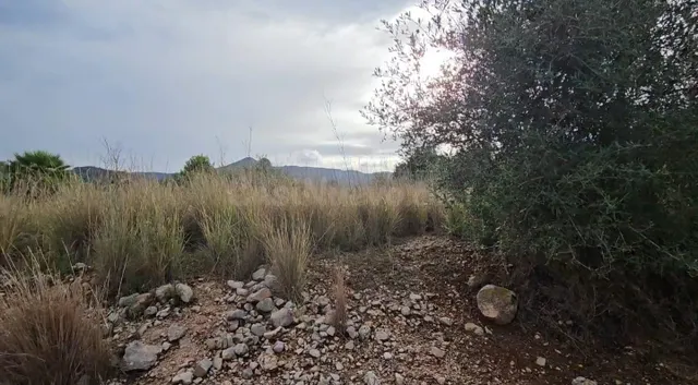 Se vende parcela rústica en término de Tormos - foto 3