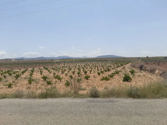 Parcela edificable en Pinoso - Comunidad Valenciana - foto 3