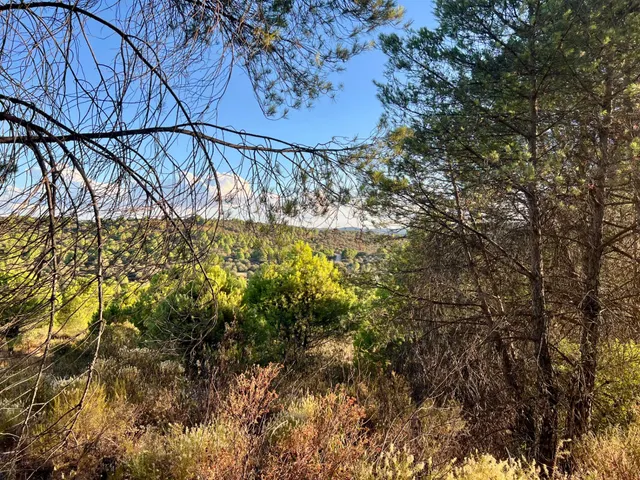 ¡tu paraíso privado en sierra morena! ✨ — 50
