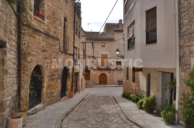 CASA DE PUEBLO  EN VENTA DE 364M2 EN EL VILOSELL — 47