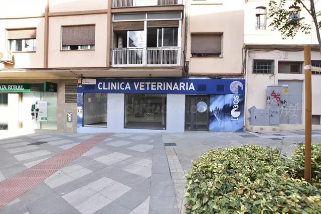 GRAN CAPITAN - foto 3