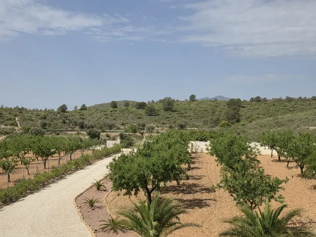 Villa 3 habitaciones 263m² en venta - Comunidad valenciana — 44