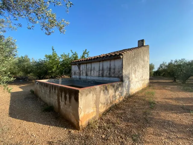 Fantástica finca con casa en la Miliana — 2