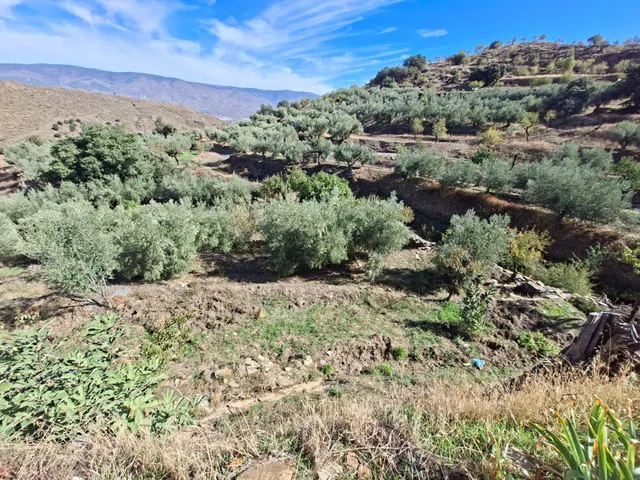 Se vende casa con parcela en Abrucena en pleno parque natural de sierra nevada — 43