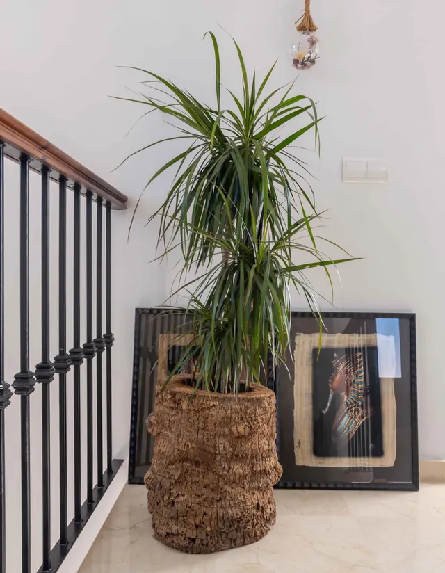 Chalet 4 habitaciones 319m² en venta - Costa Del Sol — 21