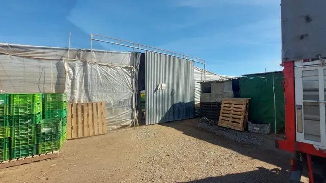 Invernadero en la Puebla de Vicar — 16