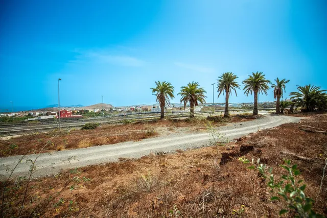 Oportunidad de inversión en Arucas – Conjunto de 4 parcelas  - foto 5