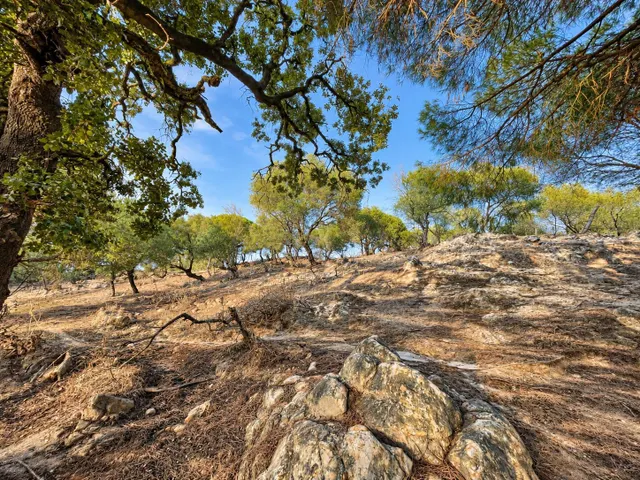 Finca rústica de 18.444 m2 con pozo y construcción catastrada en Alcalá de los Gazule — 47