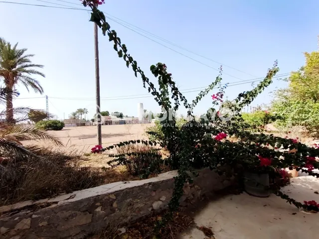 Fantástica casa rural con terreno muy cerca de la ciudad de Elche, Alicante, Costa Blanca — 12