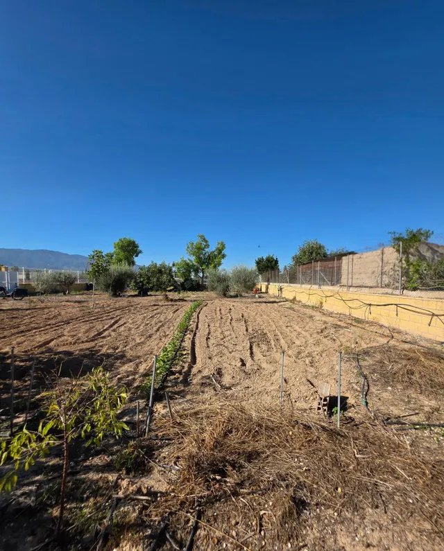 Terreno rural 1 habitación en venta - Sangonera la Seca — 9