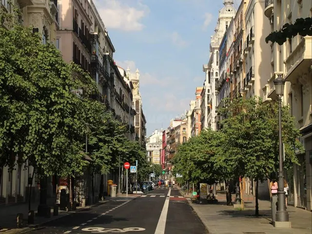 Local comercial 340m² en venta - La Latina - foto 5