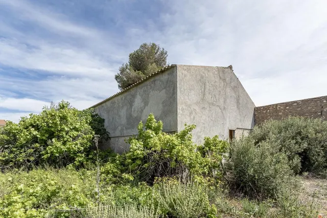 ESTUPENDO SOLAR URBANO CON NAVE EN PEDRO MARTÍNEZ — 13