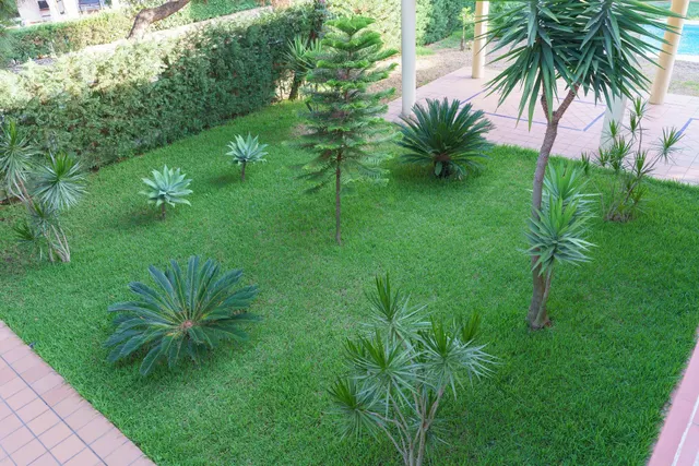 Exclusivo chalet independiente en Mazagón, a solo 400 metros de la playa — 42