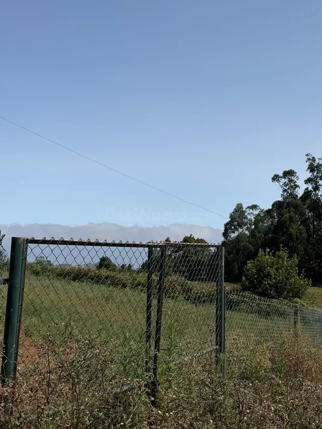 Finca con gran potencial agrícola en El Ortigal - foto 5