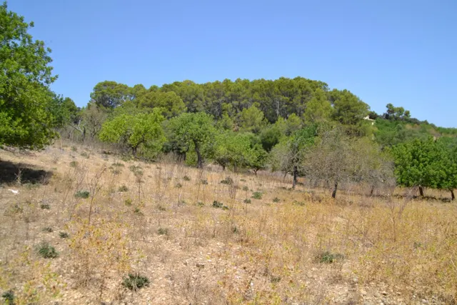 Finca rústica en Campanet — 16