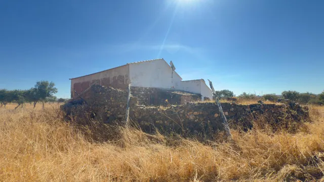 FINCA DE ENCINAR EN EL CERRO DEL ANDÉVALO — 9
