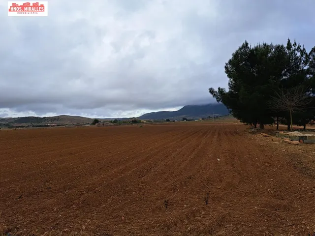VENTA CASA CON TERRENO EN HONDON DE LAS NIEVES — 4