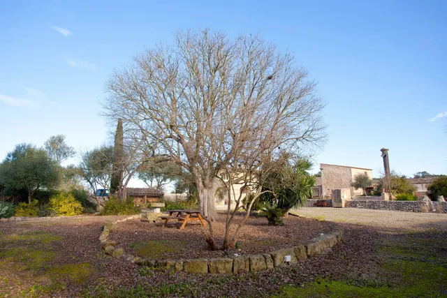 Payesia con piscina y jardín en Ariany. — 16