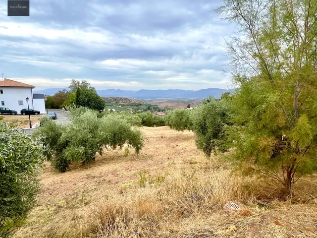 NIVAR - FINCA DE OLIVOS — 23