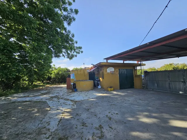 Finca Agrícola 1 habitación 100m² en venta - San martin del  - foto 5