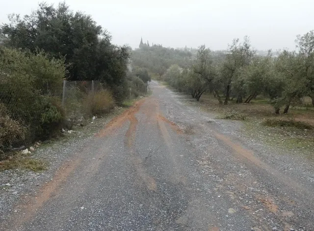 Finca rústica en Peligros – Ideal inversión o explotación agrícola — 6