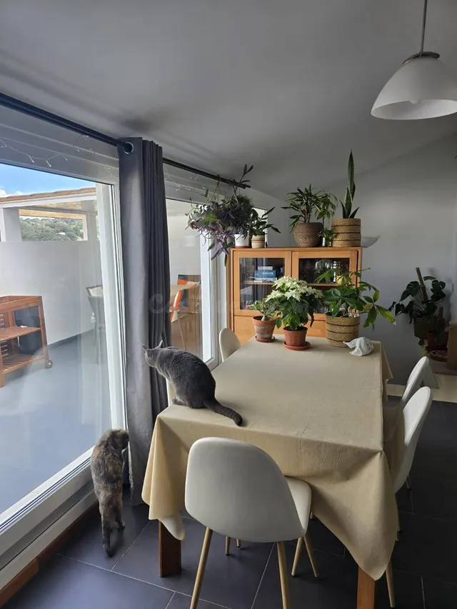 Amplio duplex con gran terraza con barbacoa — 5