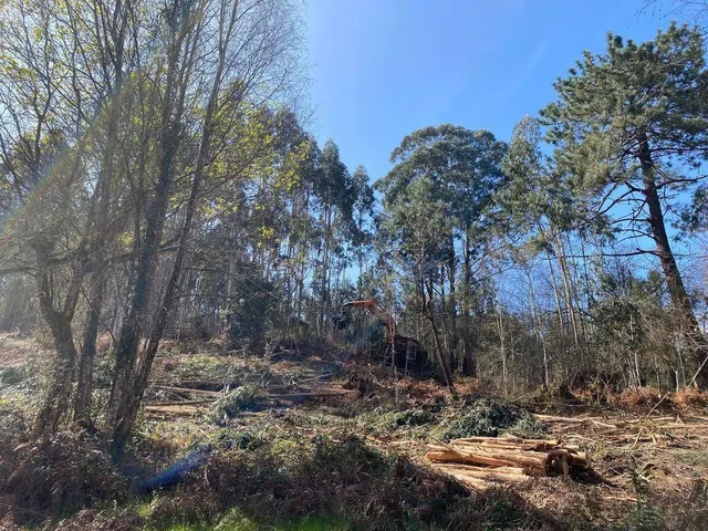 Oportunidad única en Llanes: Terreno Rústico con Vistas al M - foto 5